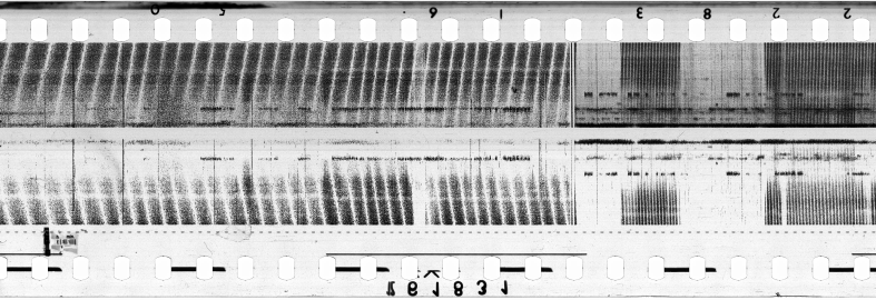 FR751142302_ARECIBO_0009_1970_0146 PNG