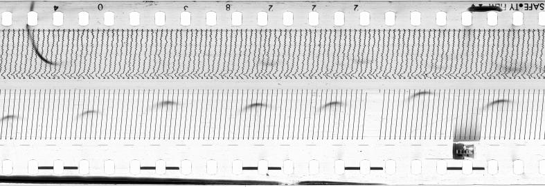 FR751142302_ARECIBO_0012_1970_0013 PNG